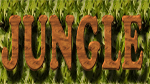 WENDISCH RIETZ > JUNGLE TANZBAR > HAUPTSTRASSE 38<br>
SALSA-OPEN-AIR-PARTY