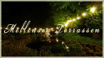 15838 KLAUSDORF/AM MELLENSEE > MELLENSEETERRASSEN > ZOSSENER-STR. 36<br>CARI-BIG-PARTY